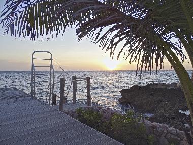 Villa �/en/au Willemstad (Curacao)ou appartement ou maison de vacances