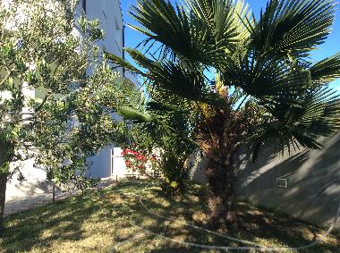 Appartement de vacances /en/au Vodice (Sibensko-Kninska)ou appartement ou maison de vacances