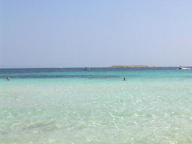 Maison de vacances �/en/au Psakoudia (Chalkidiki)ou appartement ou maison de vacances