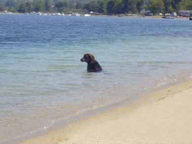 Maison de vacances �/en/au Psakoudia (Chalkidiki)ou appartement ou maison de vacances