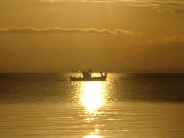 Maison de vacances /en/au Psakoudia (Chalkidiki)ou appartement ou maison de vacances