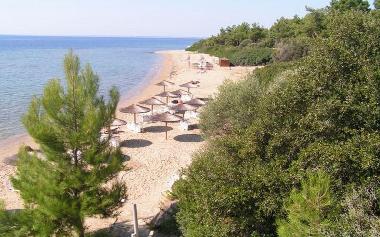 Maison de vacances �/en/au Psakoudia (Chalkidiki)ou appartement ou maison de vacances