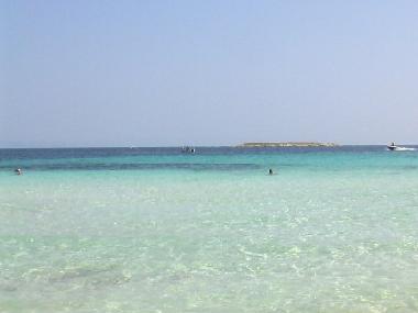 Maison de vacances �/en/au Psakoudia (Chalkidiki)ou appartement ou maison de vacances