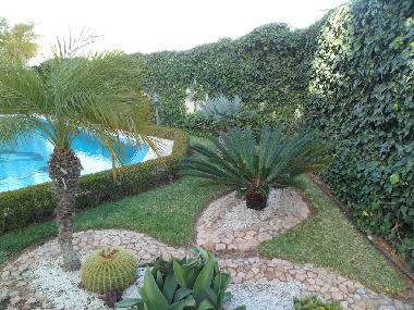 Appartement de vacances �/en/au Agadir (Agadir)ou appartement ou maison de vacances