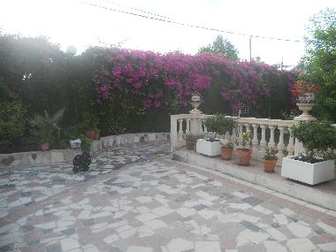 Appartement de vacances /en/au san vicente del raspeig (Alicante / Alacant)ou appartement ou maison de vacances