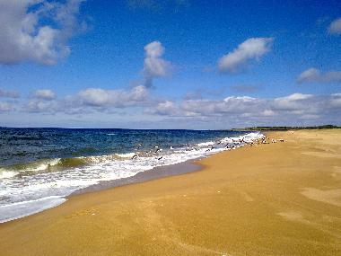 Maison de vacances �/en/au punta negra (Maldonado)ou appartement ou maison de vacances
