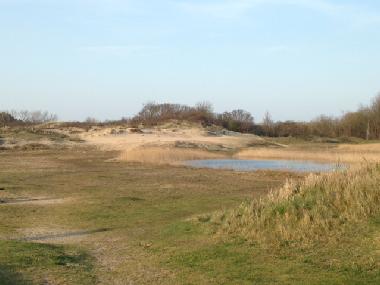Maison de vacances /en/au Egmond a/d Hoef (Noord-Holland)ou appartement ou maison de vacances