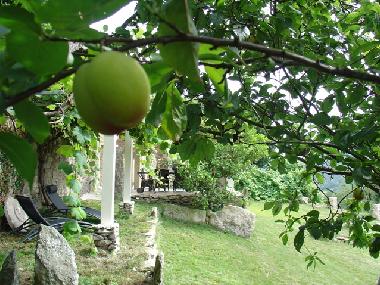 Maison de vacances /en/au Outes (A Corua)ou appartement ou maison de vacances