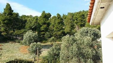 Appartement de vacances /en/au Nerotrivia (Evvoia)ou appartement ou maison de vacances