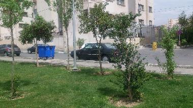 Appartement de vacances �/en/au Tehran (Tehran)ou appartement ou maison de vacances