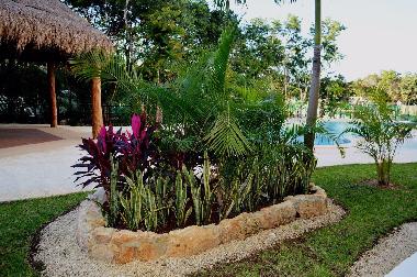 Appartement de vacances �/en/au Playa del carmen (Quintana Roo)ou appartement ou maison de vacances