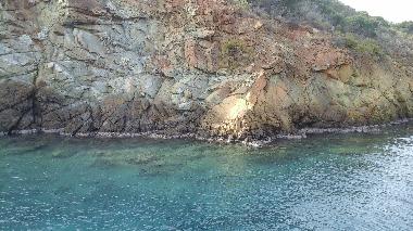 Villa /en/au Muğla  (Mugla)ou appartement ou maison de vacances