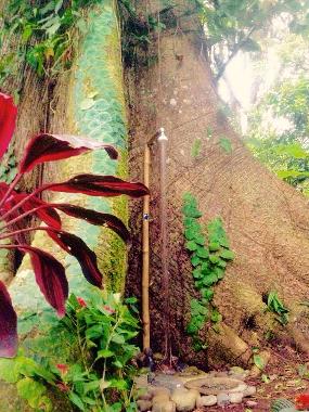 Appartement de vacances �/en/au Talamaca (Limon)ou appartement ou maison de vacances