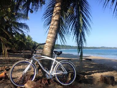 Appartement de vacances �/en/au Talamaca (Limon)ou appartement ou maison de vacances