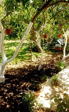 Appartement de vacances �/en/au Tivat (Mont�n�gro)ou appartement ou maison de vacances