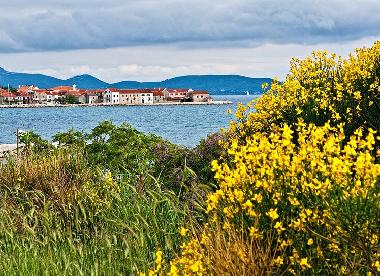 Maison de vacances /en/au Bibinje (Zadarska)ou appartement ou maison de vacances