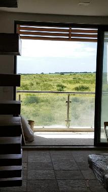 Vue salon ,balcon,sol en ardoise french vanilla et escalier vers toiture