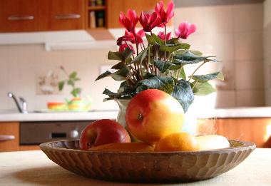 Appartement de vacances �/en/au Tolmin (Tolmin)ou appartement ou maison de vacances