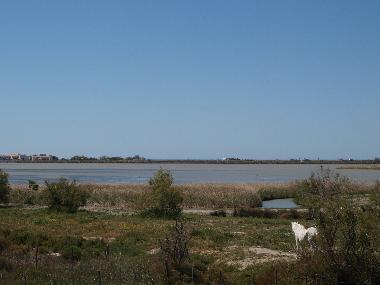 Maison de vacances �/en/au Les Saintes Maries de la Mer (Bouches-du-Rh�ne)ou appartement ou maison de vacances