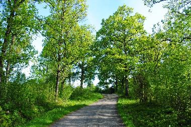 Villa �/en/au Anderstorp (Smaland)ou appartement ou maison de vacances