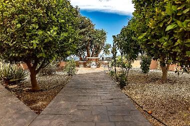 Appartement de vacances /en/au Arona (Teneriffa)ou appartement ou maison de vacances