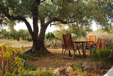 Appartement de vacances /en/au L