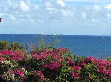 Vue de la mer depuis la terrasse
