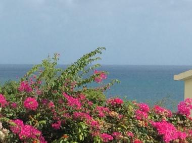 Appartement de vacances �/en/au Sainte Luce  (Martinique)ou appartement ou maison de vacances