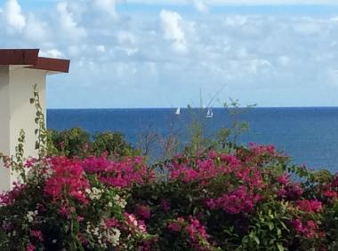 Appartement de vacances �/en/au Sainte Luce  (Martinique)ou appartement ou maison de vacances