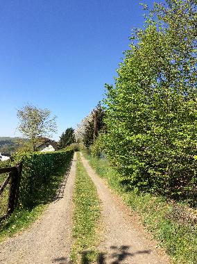 Maison de vacances /en/au Biedenkopf (Marburg-Biedenkopf)ou appartement ou maison de vacances