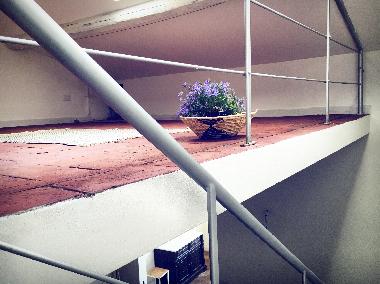 Appartement de vacances /en/au Rosignano Marittimo (Livorno)ou appartement ou maison de vacances