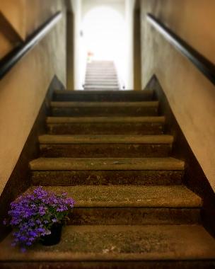 Appartement de vacances /en/au Rosignano Marittimo (Livorno)ou appartement ou maison de vacances