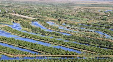 Maison de vacances �/en/au mihalj (Dubrovacko-Neretvanska)ou appartement ou maison de vacances