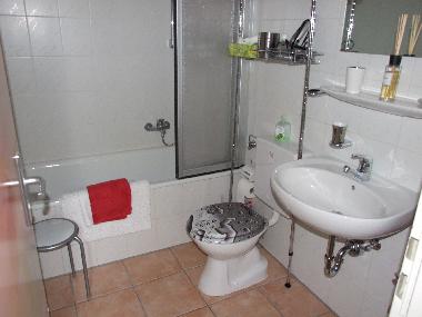 Appartement de vacances /en/au Feldberg-Brental (Schwarzwald)ou appartement ou maison de vacances