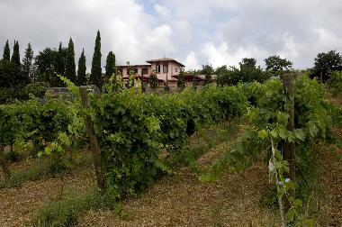 Appartement de vacances /en/au cerveteri (Roma)ou appartement ou maison de vacances