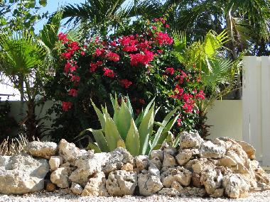 Maison de vacances �/en/au Grote Berg (Curacao)ou appartement ou maison de vacances