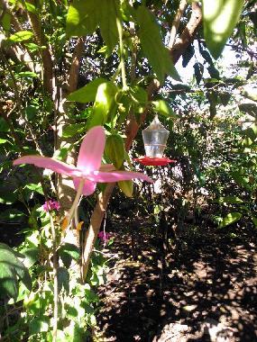 Appartement de vacances /en/au Ibarra (Imbabura)ou appartement ou maison de vacances