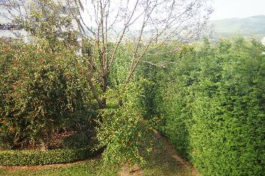 Appartement de vacances /en/au Kalamata (Messinia)ou appartement ou maison de vacances