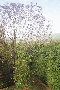 Appartement de vacances /en/au Kalamata (Messinia)ou appartement ou maison de vacances