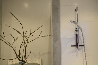 Appartement de vacances /en/au Vrouwenpolder (Zeeland)ou appartement ou maison de vacances