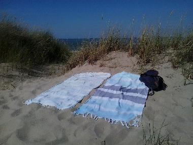Appartement de vacances /en/au Vrouwenpolder (Zeeland)ou appartement ou maison de vacances