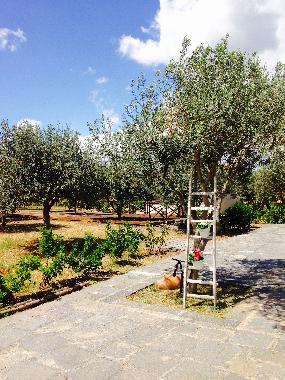 Appartement de vacances �/en/au Scordia (Catania)ou appartement ou maison de vacances