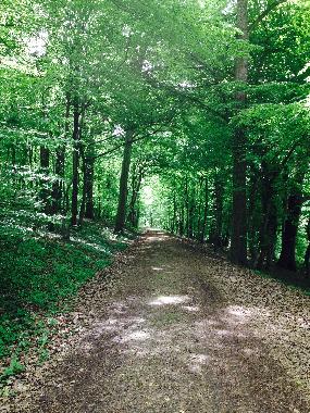 Appartement de vacances /en/au Lahr -Sulz (Schwarzwald)ou appartement ou maison de vacances