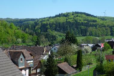 Appartement de vacances /en/au Lahr -Sulz (Schwarzwald)ou appartement ou maison de vacances