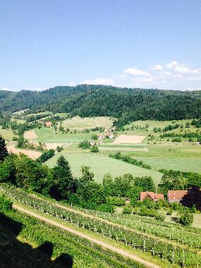 Appartement de vacances /en/au Lahr -Sulz (Schwarzwald)ou appartement ou maison de vacances