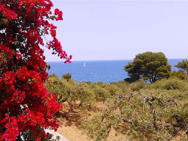 Maison de vacances /en/au Cefalu (Palermo)ou appartement ou maison de vacances