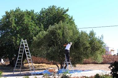 Villa �/en/au Douar Masassa (Essaouira)ou appartement ou maison de vacances