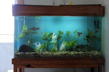 Chambre avec petit d�jeuner �/en/au Habana Vieja (La Habana)ou appartement ou maison de vacances