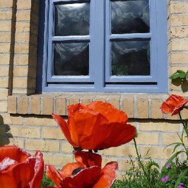 Maison de vacances �/en/au Sieverstedt (Ostsee-Festland)ou appartement ou maison de vacances