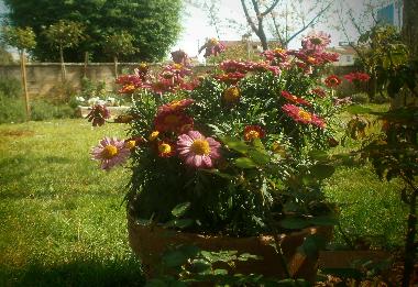 Appartement de vacances /en/au Rovinj (Istarska)ou appartement ou maison de vacances